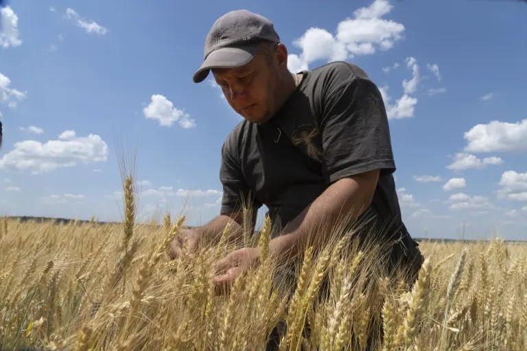 A grain farmer in Ukraine